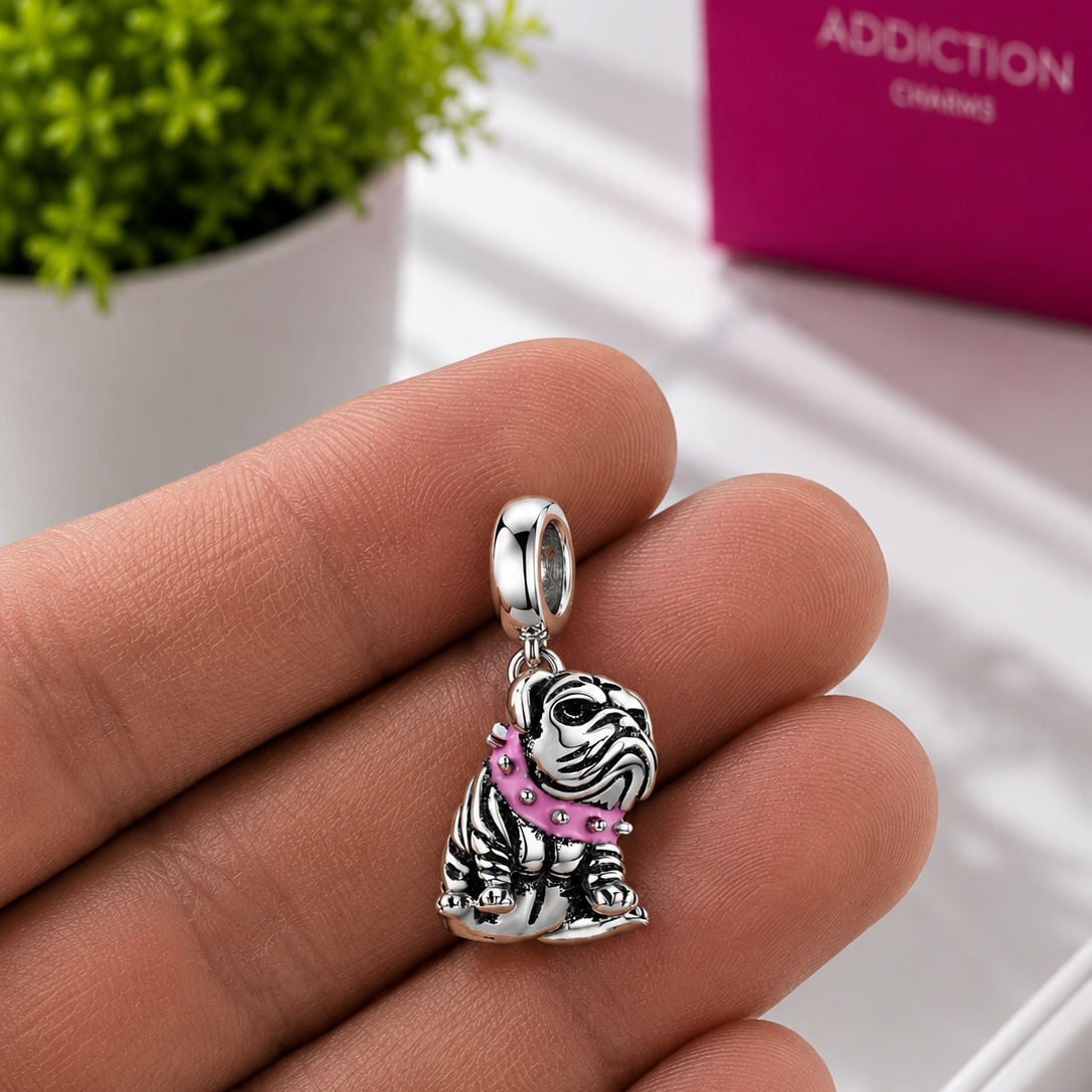 Charm Bamoer perrito Bulldog